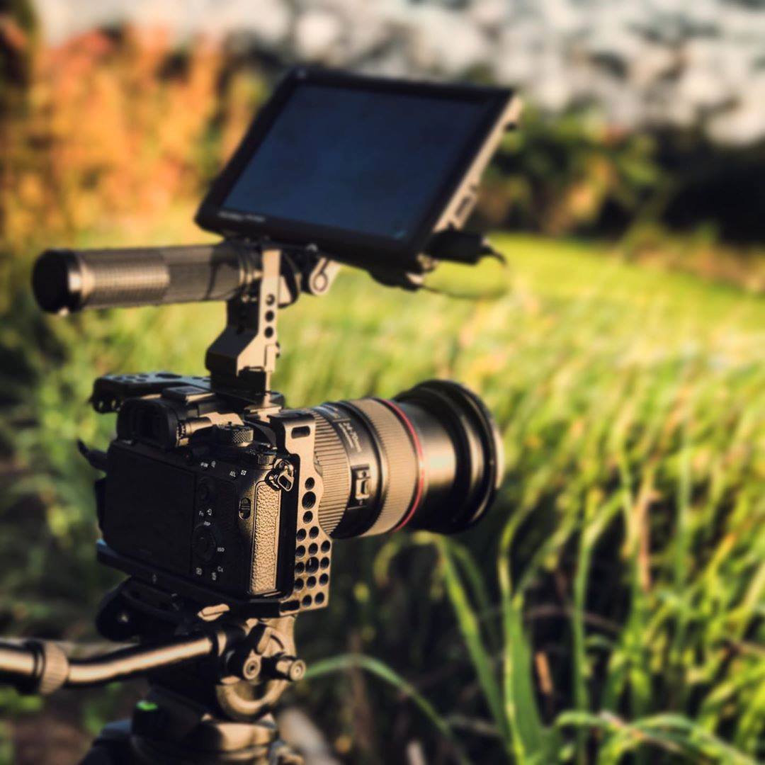 Travel setup on the @sonyalpha A7 mark III, 24-70mm canon L glass, FEELWORLD monitor day bright field monitor 4k rez, @smallrig_official full cage w/ quick release handle sitting pretty moving fluid making the rice look pretty 🌱