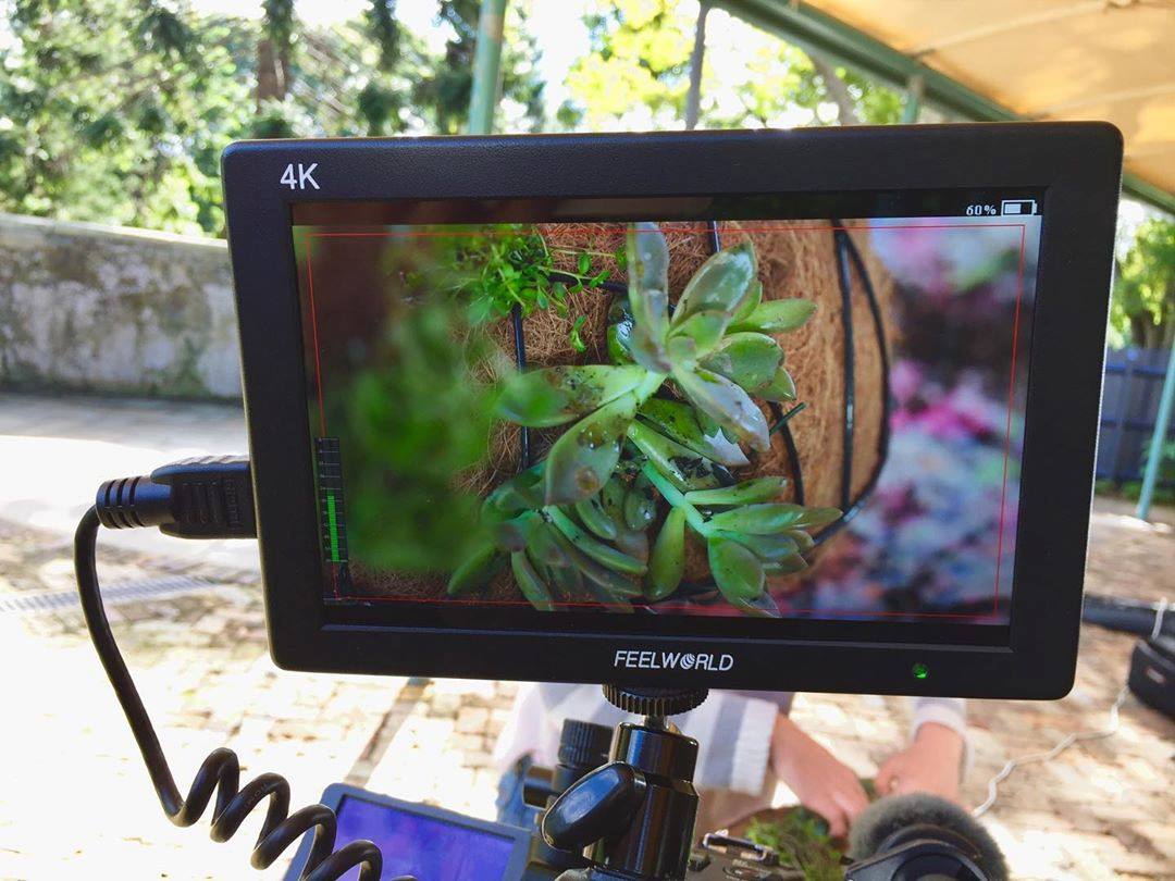 Getting Crafty in @rbgsydney the other day!  Shoot by FEEIWORLD T7 moniotor.