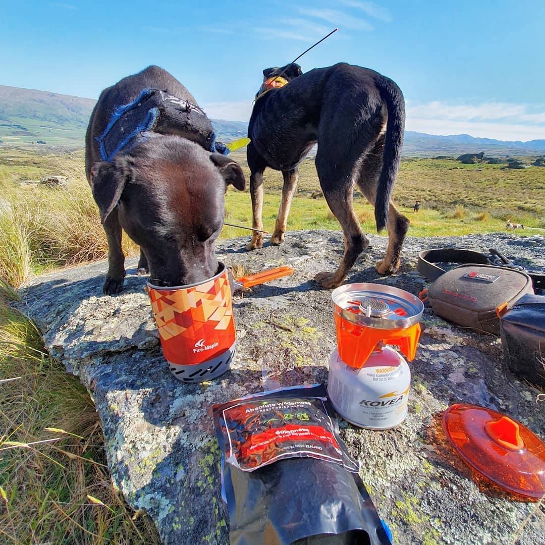 Designed to make a great meal and double up as a water bowl. 😎🐶