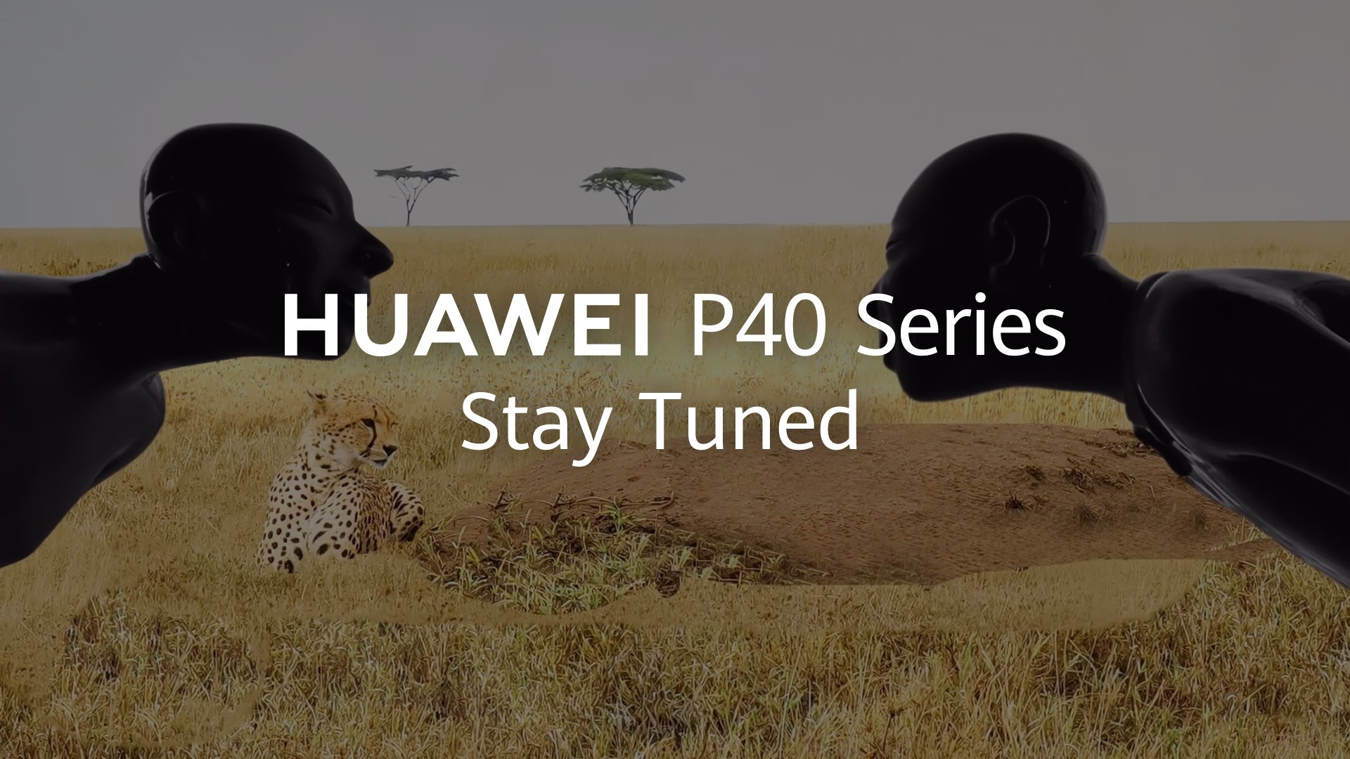 Our #HUAWEI P Series has helped create countless memories from around the globe 🌏 We invite you to join us in finding what comes next with the #HUAWEIP40 Series.