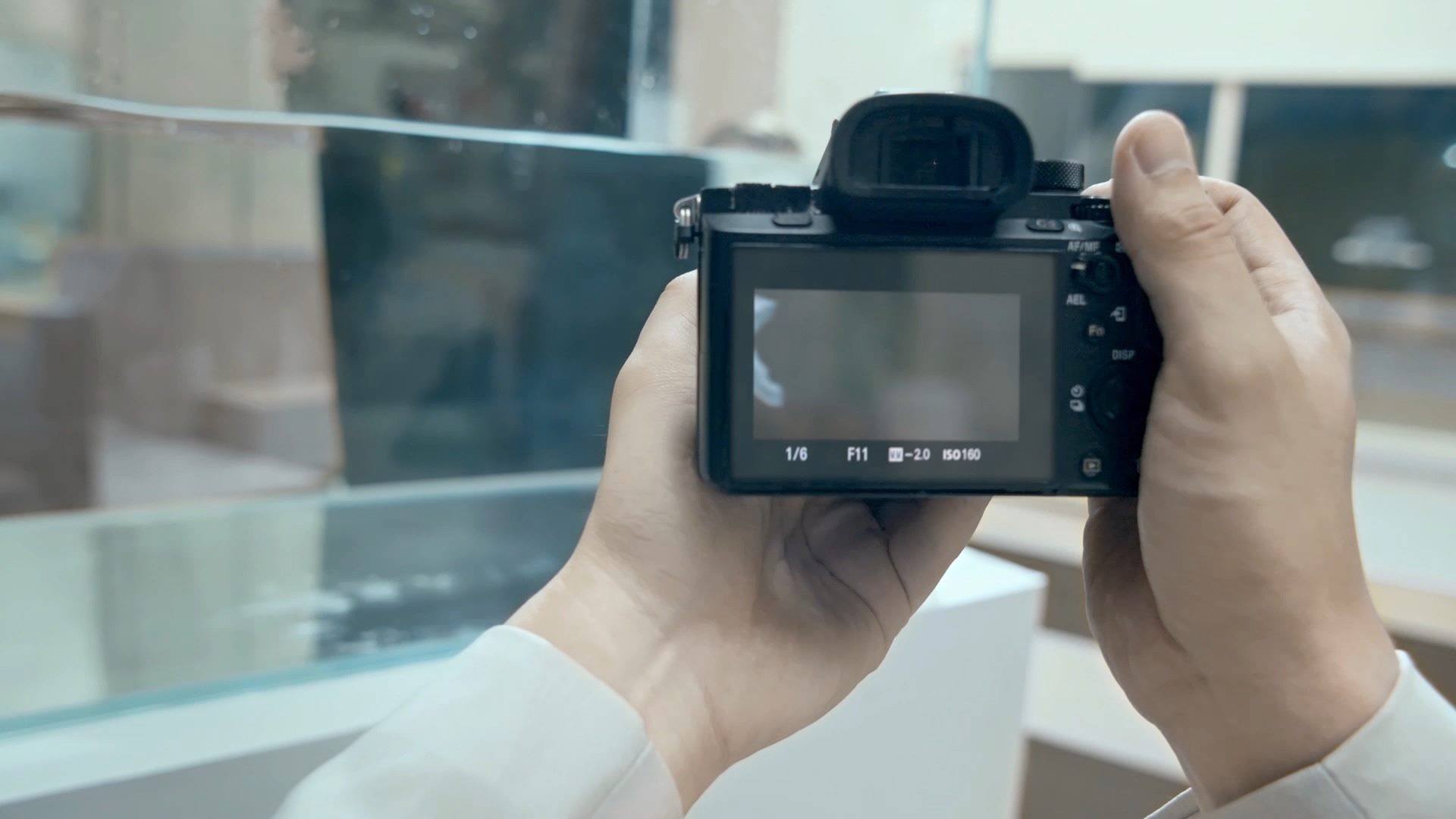 With Golden Snap's AI Remove Reflection, capture what’s behind the glass with ease.